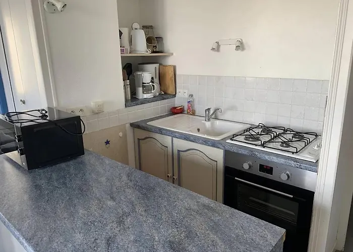 Le Croisic: 2 Pièces Rdc Face Port, Centre-ville, Animaux Ok - Fr-1-843-5 Appartement Le Croisic